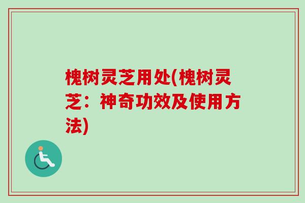 槐树灵芝用处(槐树灵芝：神奇功效及使用方法)