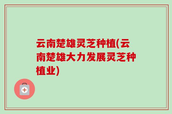 云南楚雄灵芝种植(云南楚雄大力发展灵芝种植业)