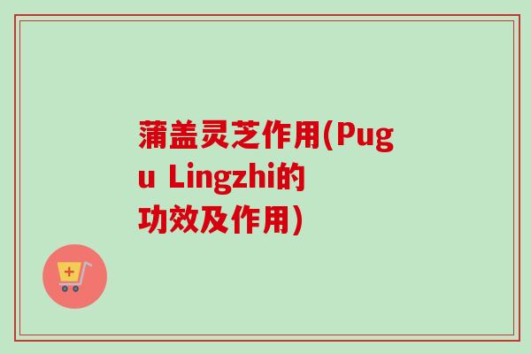 蒲盖灵芝作用(Pugu Lingzhi的功效及作用)