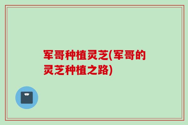 军哥种植灵芝(军哥的灵芝种植之路)