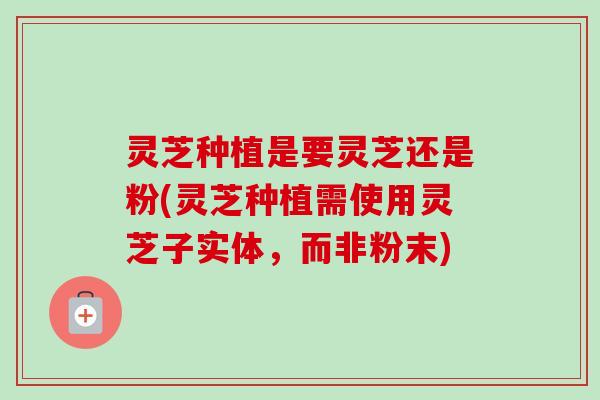 灵芝种植是要灵芝还是粉(灵芝种植需使用灵芝子实体,而非粉末) 灵芝种植是要灵芝还是粉(灵芝种植需使用灵芝子实体,而非粉末)