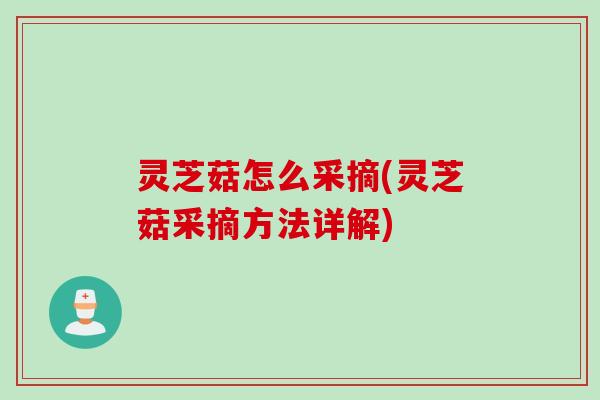 灵芝菇怎么采摘(灵芝菇采摘方法详解)