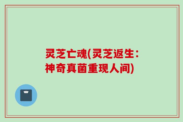灵芝亡魂(灵芝返生：神奇真菌重现人间)