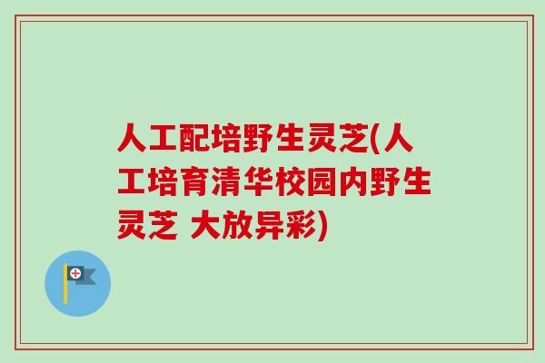 人工配培野生灵芝(人工培育清华校园内野生灵芝 大放异彩)