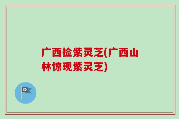 广西捡紫灵芝(广西山林惊现紫灵芝)
