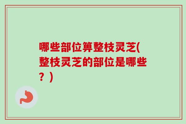 哪些部位箅整枝灵芝(整枝灵芝的部位是哪些？)