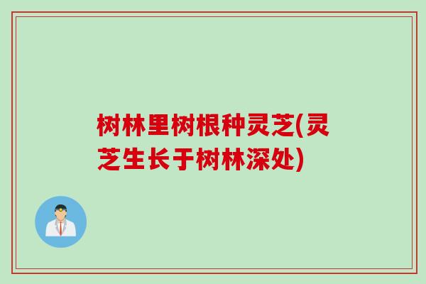 树林里树根种灵芝(灵芝生长于树林深处)