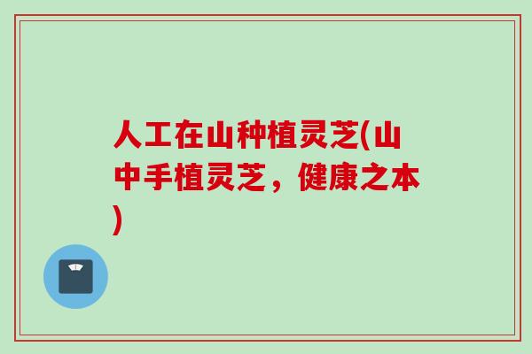 人工在山种植灵芝(山中手植灵芝，健康之本)