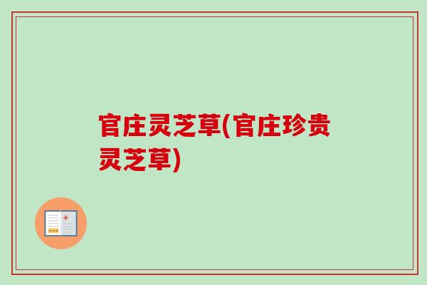 官庄灵芝草(官庄珍贵灵芝草)