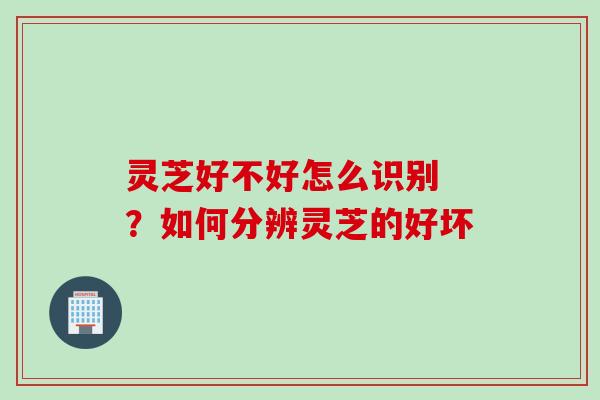 灵芝好不好怎么识别 ？如何分辨灵芝的好坏