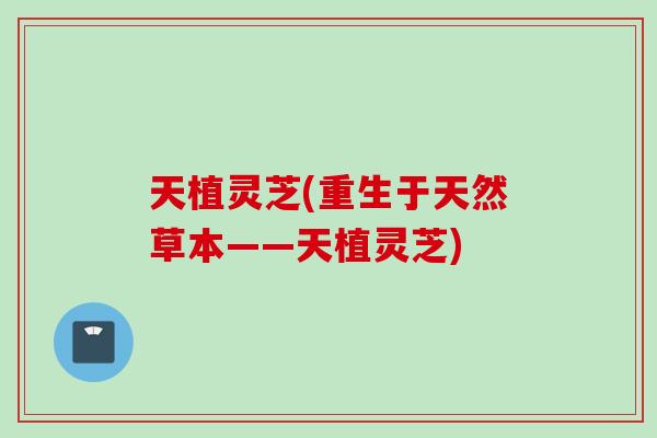 天植灵芝(重生于天然草本——天植灵芝)