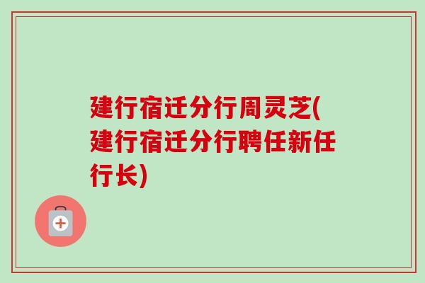 建行宿迁分行周灵芝(建行宿迁分行聘任新任行长)