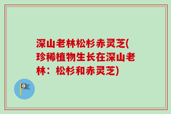 深山老林松杉赤灵芝(珍稀植物生长在深山老林：松杉和赤灵芝)
