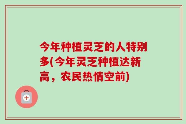 今年种植灵芝的人特别多(今年灵芝种植达新高,农民热情空前) 今年种植灵芝的人特别多(今年灵芝种植达新高,农民热情空前)