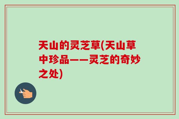 天山的灵芝草(天山草中珍品——灵芝的奇妙之处)