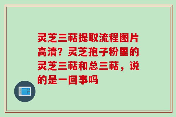 灵芝三萜提取流程图片高清？灵芝孢子粉里的灵芝三萜和总三萜，说的是一回事吗