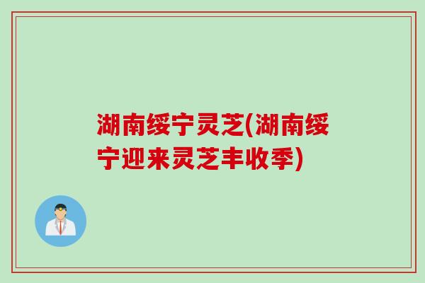 湖南绥宁灵芝(湖南绥宁迎来灵芝丰收季)