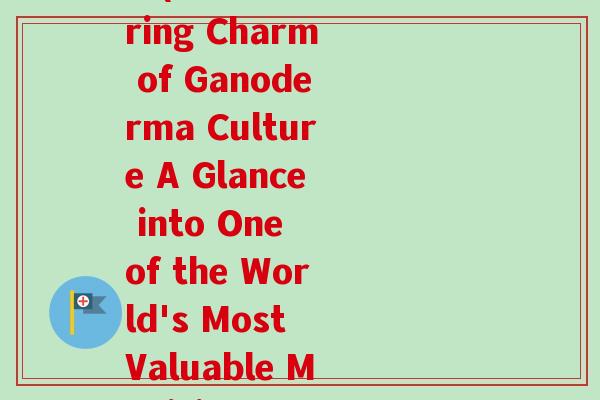 感受灵芝文化的魅力英语(The Alluring Charm of Ganoderma Culture A Glance into One of the World's Most Valuable Medicinal Herbs)