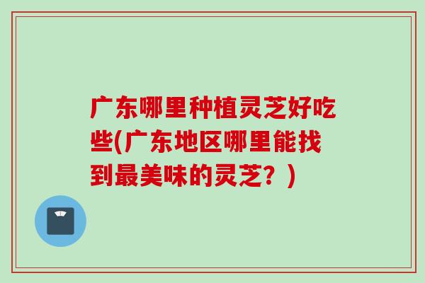 广东哪里种植灵芝好吃些(广东地区哪里能找到最美味的灵芝？)