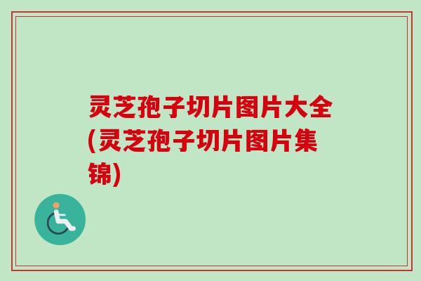 灵芝孢子切片图片大全(灵芝孢子切片图片集锦)