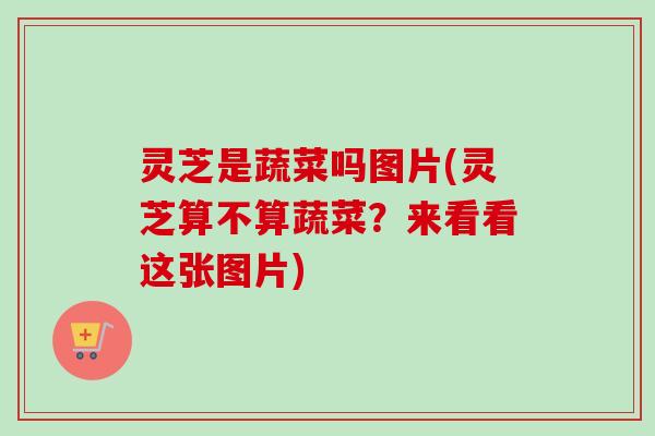灵芝是蔬菜吗图片(灵芝算不算蔬菜？来看看这张图片)