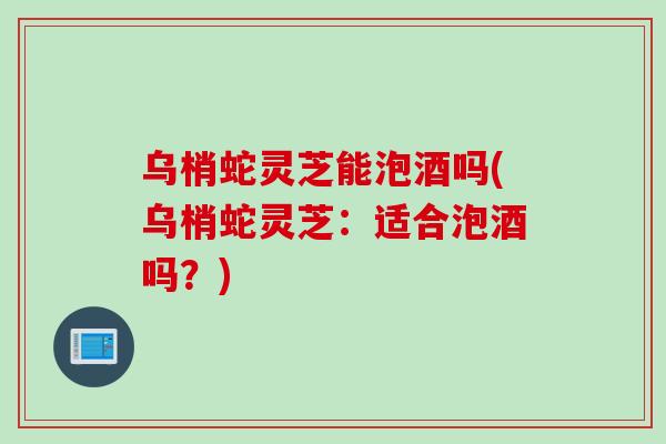 乌梢蛇灵芝能泡酒吗(乌梢蛇灵芝：适合泡酒吗？)