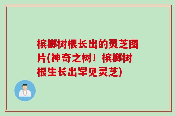 槟榔树根长出的灵芝图片(神奇之树！槟榔树根生长出罕见灵芝)