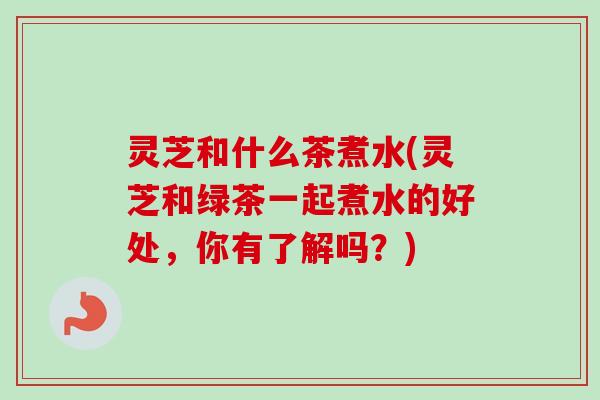 灵芝和什么茶煮水(灵芝和绿茶一起煮水的好处，你有了解吗？)