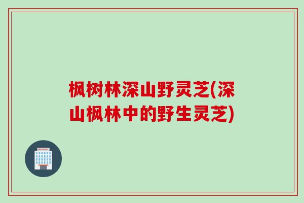 枫树林深山野灵芝(深山枫林中的野生灵芝)