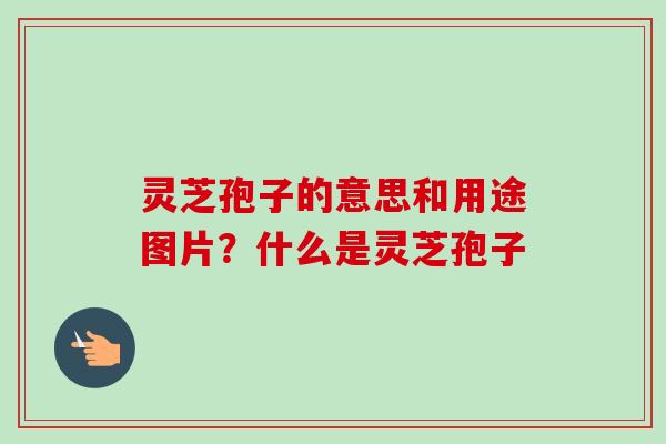 灵芝孢子的意思和用途图片？什么是灵芝孢子