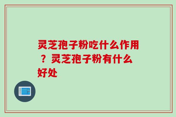 灵芝孢子粉吃什么作用 ？灵芝孢子粉有什么好处