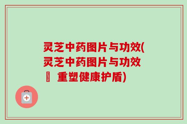 灵芝中药图片与功效(灵芝中药图片与功效 – 重塑健康护盾)