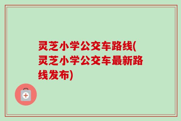 灵芝小学公交车路线(灵芝小学公交车最新路线发布)