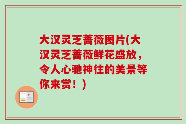大汉灵芝蔷薇图片(大汉灵芝蔷薇鲜花盛放，令人心驰神往的美景等你来赏！)