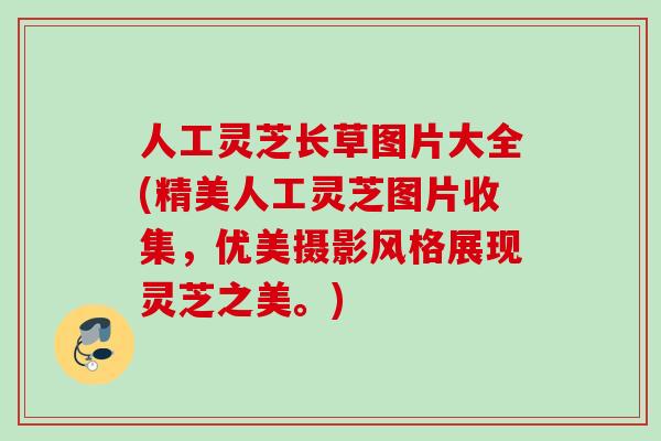 人工灵芝长草图片大全(精美人工灵芝图片收集，优美摄影风格展现灵芝之美。)