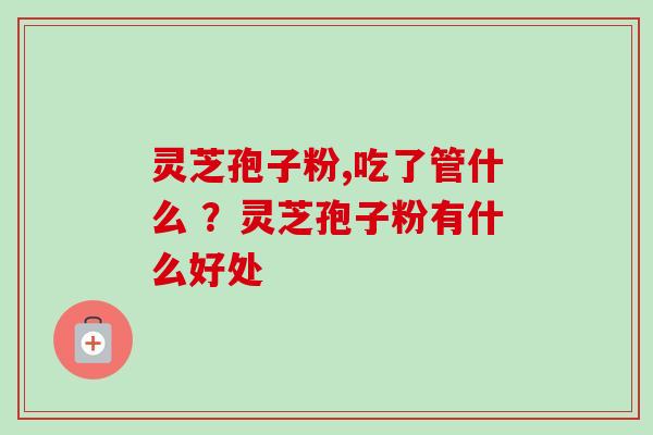 灵芝孢子粉,吃了管什么 ？灵芝孢子粉有什么好处