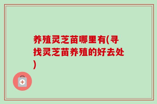 养殖灵芝苗哪里有(寻找灵芝苗养殖的好去处)