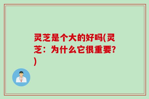 灵芝是个大的好吗(灵芝:为什么它很重要?) 灵芝是个大的好吗(灵芝:为什么它很重要?)