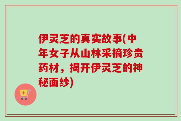 伊灵芝的真实故事(中年女子从山林采摘珍贵药材，揭开伊灵芝的神秘面纱)