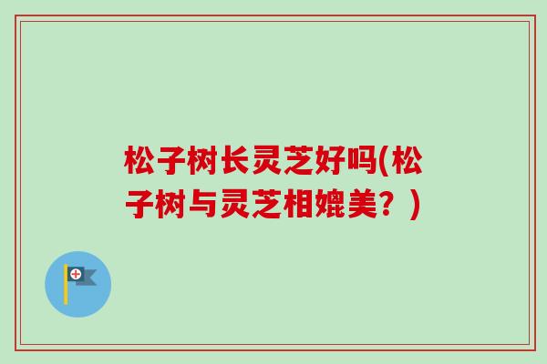 松子树长灵芝好吗(松子树与灵芝相媲美？)