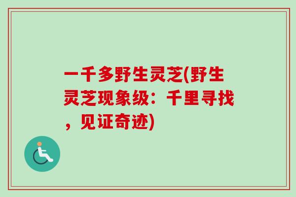 一千多野生灵芝(野生灵芝现象级：千里寻找，见证奇迹)