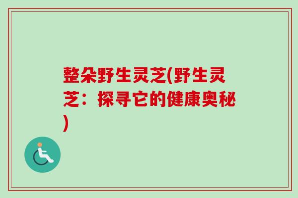 整朵野生灵芝(野生灵芝：探寻它的健康奥秘)
