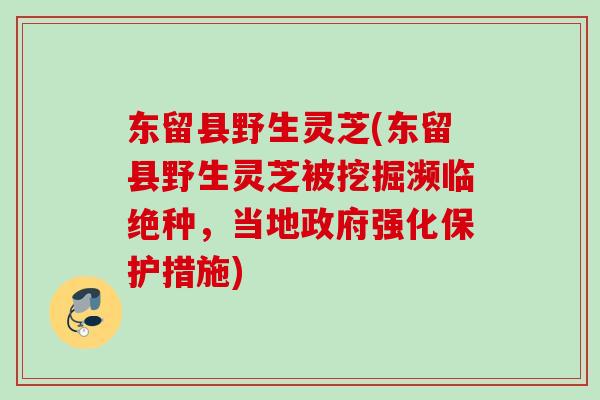东留县野生灵芝(东留县野生灵芝被挖掘濒临绝种，当地政府强化保护措施)