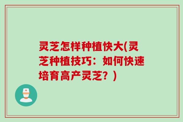 灵芝怎样种植快大(灵芝种植技巧：如何快速培育高产灵芝？)