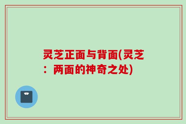 灵芝正面与背面(灵芝:两面的神奇之处) 灵芝正面与背面(灵芝:两面的神奇之处)