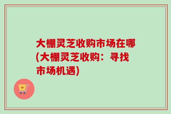大棚灵芝收购市场在哪(大棚灵芝收购：寻找市场机遇)