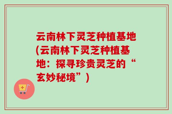 云南林下灵芝种植基地(云南林下灵芝种植基地：探寻珍贵灵芝的“玄妙秘境”)