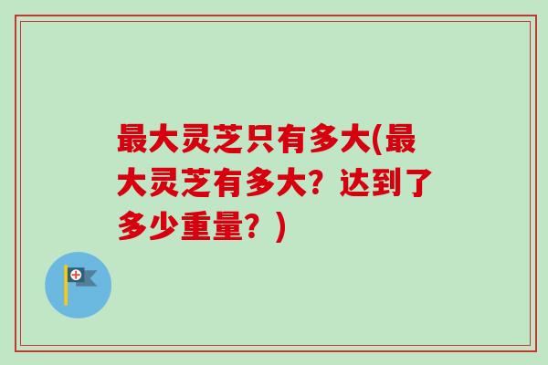 最大灵芝只有多大(最大灵芝有多大？达到了多少重量？)