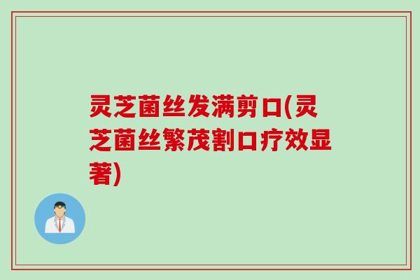 灵芝菌丝发满剪口(灵芝菌丝繁茂割口疗效显著)