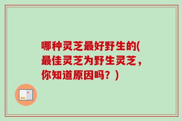 哪种灵芝最好野生的(最佳灵芝为野生灵芝，你知道原因吗？)